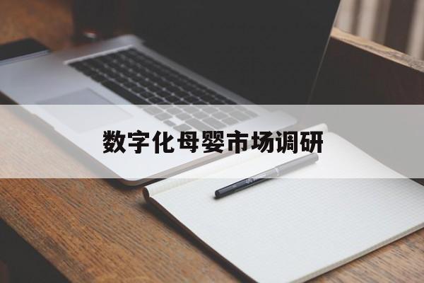 台北市数字化母婴市场调研(数字化母婴市场调研报告)